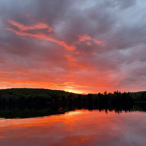 Meet your Posher, Quinn